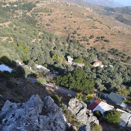 Garden Of Olive Trees Asfendiles Exterior foto