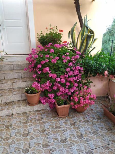 Garden Of Olive Trees Asfendiles Exterior foto