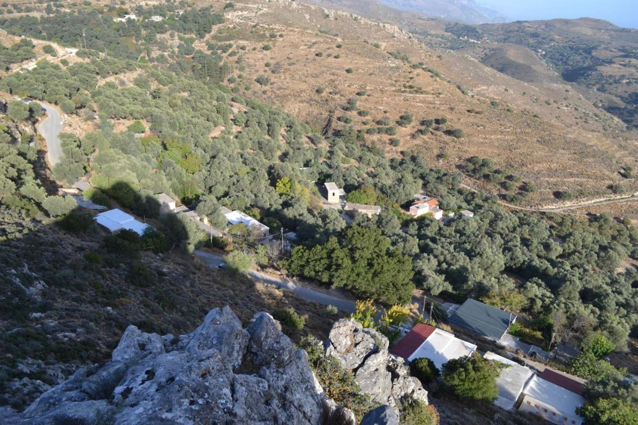 Garden Of Olive Trees Asfendiles Exterior foto